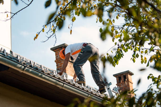 Professional Roofing Contractor in Stewartville, MN