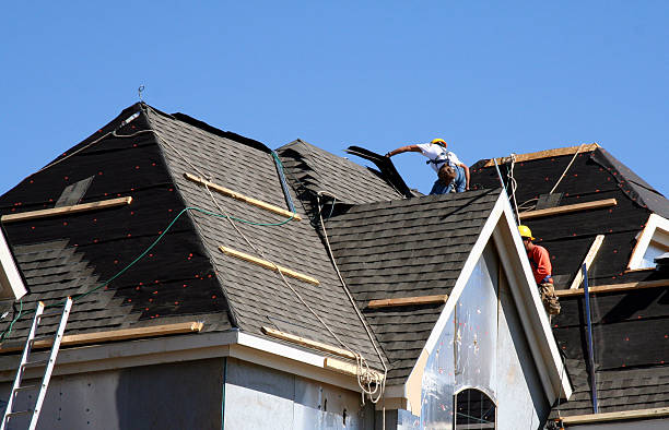 Best Local Roofing Companies  in Stewartville, MN
