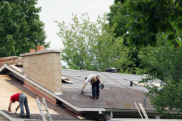 Best Metal Roofing Contractor  in Stewartville, MN