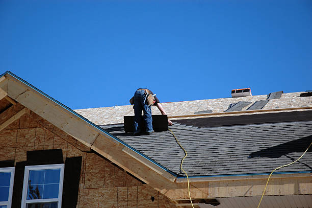 Roof Gutter Cleaning in Stewartville, MN