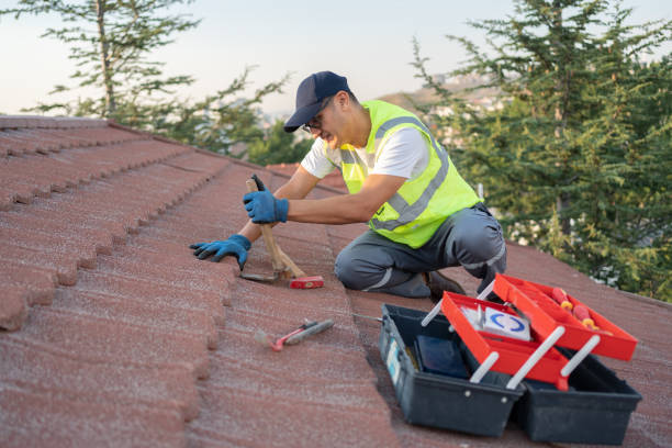 Best Flat Roof Repair Services  in Stewartville, MN