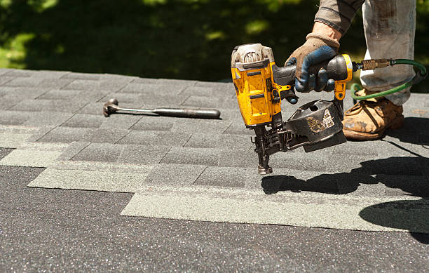 Best Shingle Roofing Installation  in Stewartville, MN